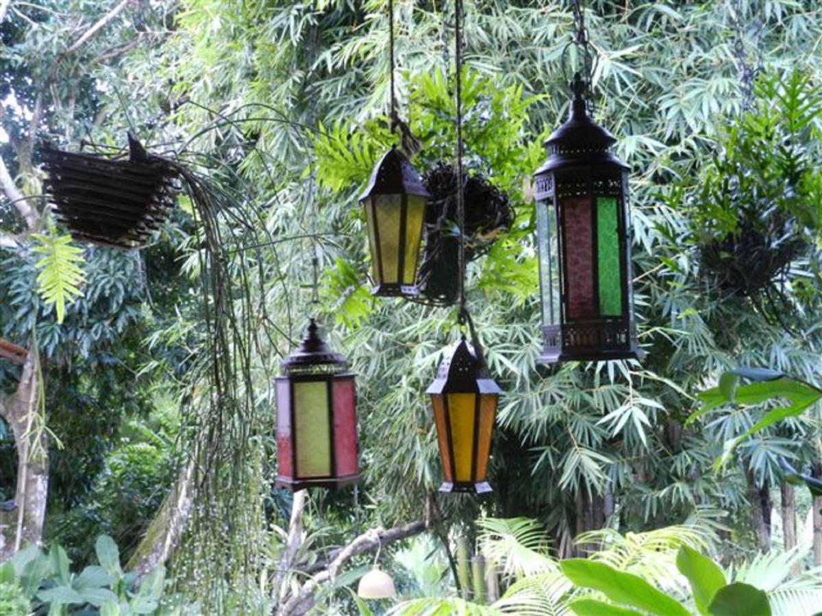 Sitio Alto Da Montanha - Voce Em Paz Com A Natureza باكوتي المظهر الخارجي الصورة