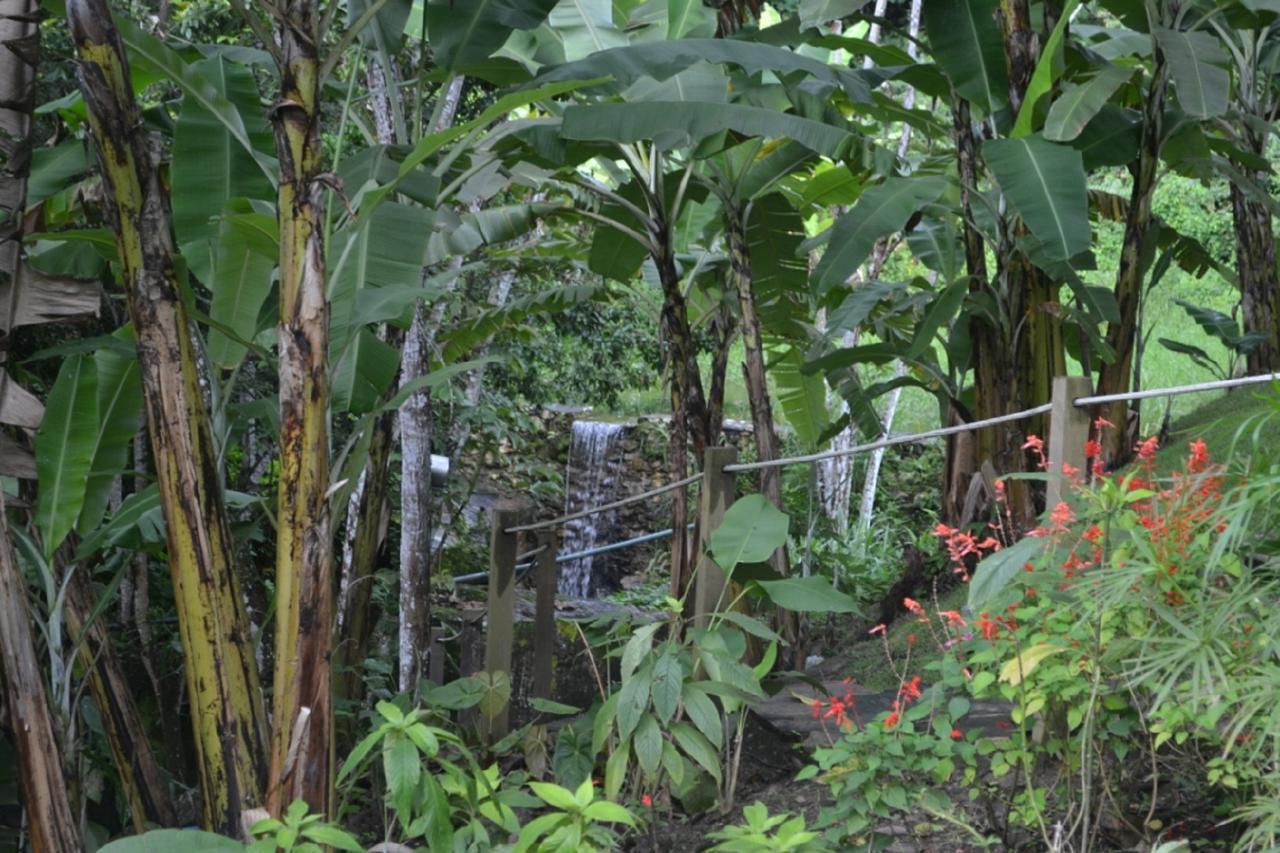 Sitio Alto Da Montanha - Voce Em Paz Com A Natureza باكوتي المظهر الخارجي الصورة