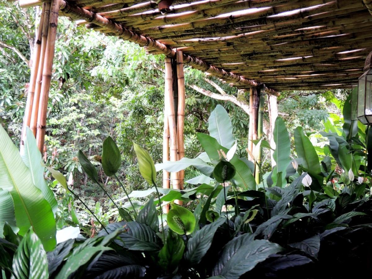 Sitio Alto Da Montanha - Voce Em Paz Com A Natureza باكوتي المظهر الخارجي الصورة
