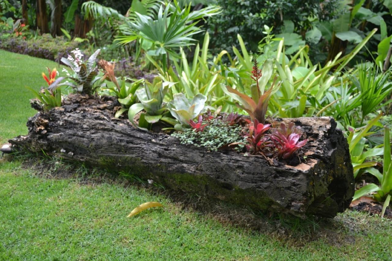 Sitio Alto Da Montanha - Voce Em Paz Com A Natureza باكوتي المظهر الخارجي الصورة