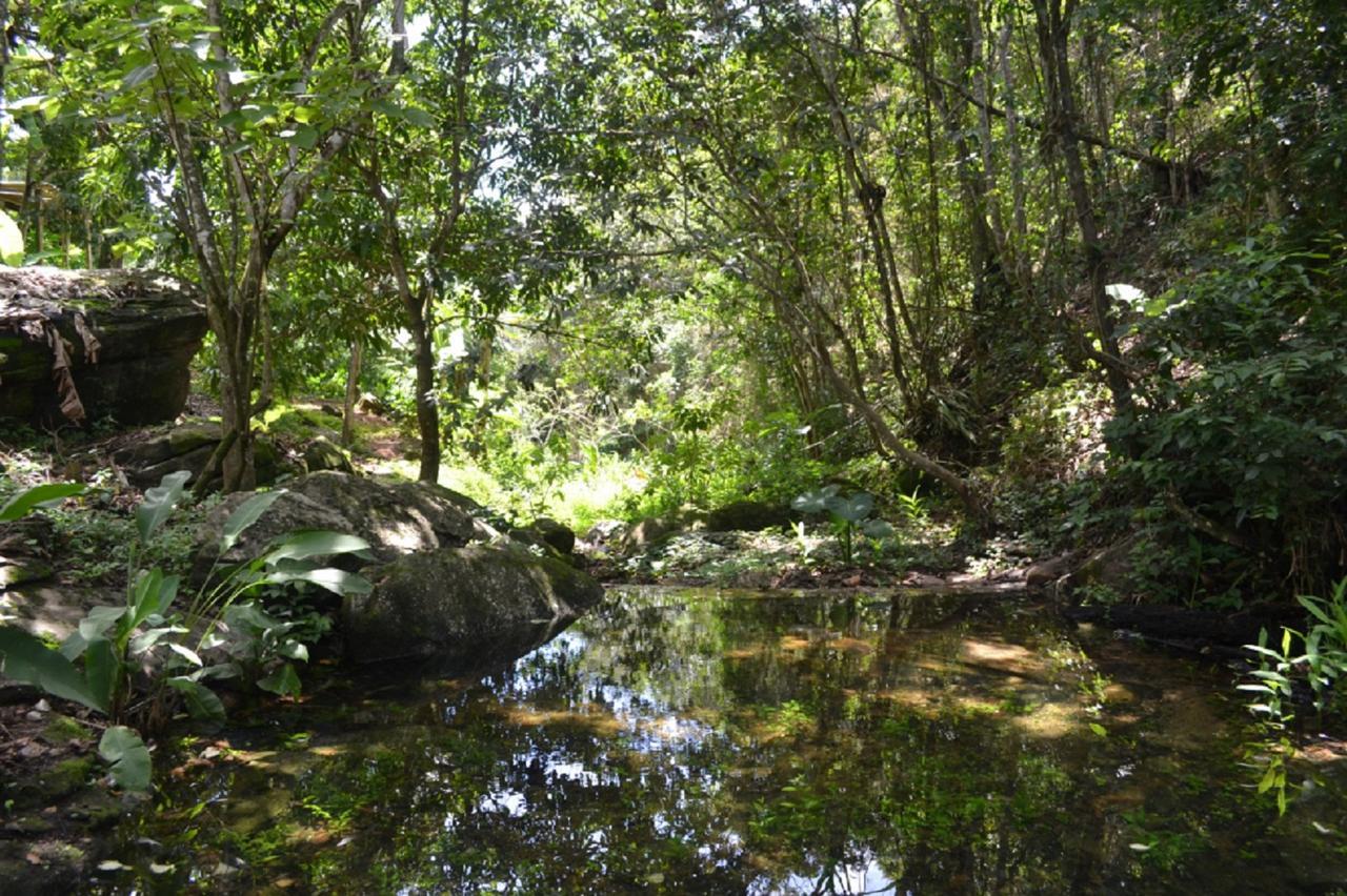 Sitio Alto Da Montanha - Voce Em Paz Com A Natureza باكوتي المظهر الخارجي الصورة