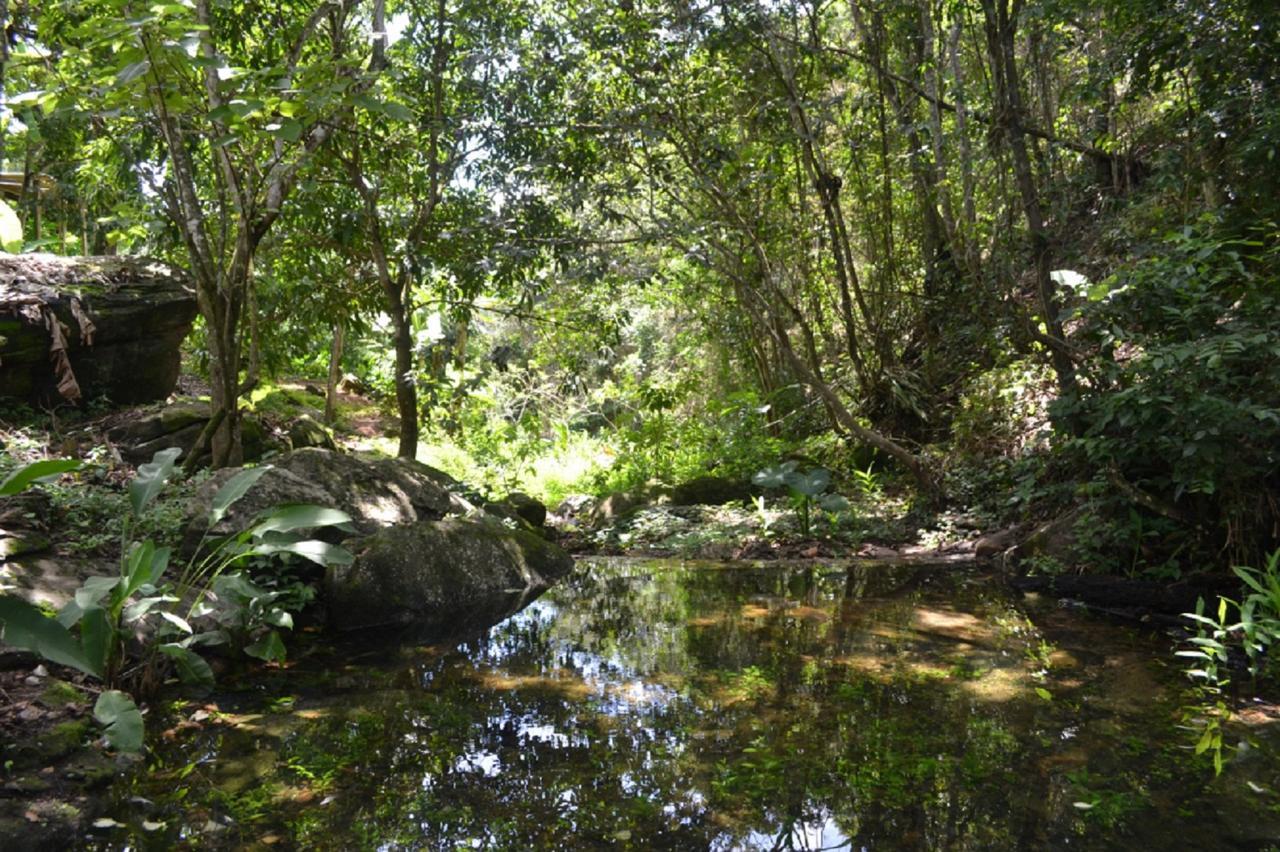 فيلا Sitio Alto Da Montanha - Voce Em Paz Com A Natureza باكوتي المظهر الخارجي الصورة